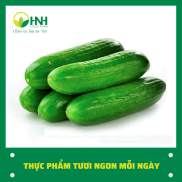 CHỈ GIAO HÀ NỘI Dưa chuột sạch ngon trợ giá mùa dịch - HNH Food Farm
