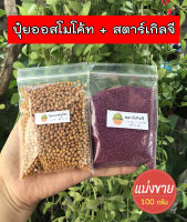 ออสโมโค้ท (Osmocote) + สตาร์เกิล จี (Starkle G)  100 กรัม