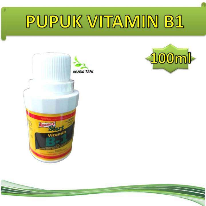 Pupuk Vitamin B1 Liquinox B1 Kemasan 100ml | Lazada Indonesia