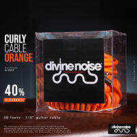 [ลด 20%] Divine Noise Curly Cable "Orange" สายแจ็คกีตาร์สไตล์ Retro Coil ยาว 30 ฟุต Made in the U.S.A