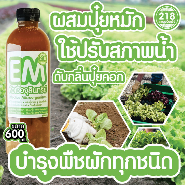 emหัวเชื้อจุลินทรีย์สูตรเข้มข้นขนาด