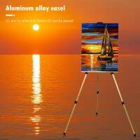 63 inch Aluminum Alloy Tripod Display Bracket Folding Telescopic Studio Painting Easel for Outdoor Travelling Accessories