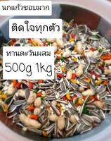 อาหารนก parrot mix ขนาด1กิโลกรัม 500กรัม สูตรพิเศษนกแก้วชอบมากกกินได้เลิฟ ฟอฟัน ซัน กรีนชีค ค๊อก เกย์ กระตั้ว ฮั้น ริงนค มาคอร์