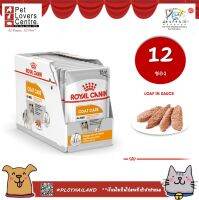 Royal canin Coat care Loaf 85gx12ซอง - โรยัล คานิน สุนัขโต ทุกขนาด ที่มีปัญหาสุขภาพเส้นขน 85กx12ซอง