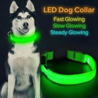 ☇ LED USB Glowing Dog Collar Adjustable Flashing Rechargea Luminous Collar Night Anti-Lost dog leash dog accessories