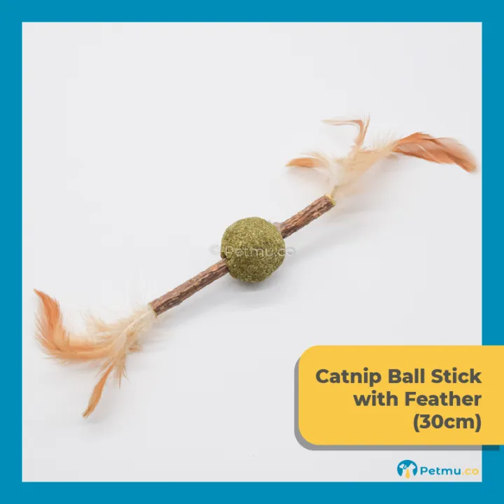 Compressed Catnip Ball Stick Cat Toy with Feather (30cm) Lazada