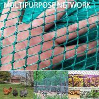 Heavy Anti Bird Netting Net Garden Fence and Crops Protective Fencing Mesh Anti Bird Deer Cat Dog Chicken Net Fishing Net