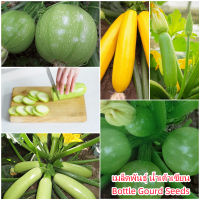 เมล็ดพันธุ์แท้100% อัตราการงอกสูง 30 แคปซูลต่อแพ็ค Fresh Bottle Gourd Seeds Vegetable Seeds เมล็ดพันธุ์ Plants เมล็ด พันธุ์ไม้หายาก เมล็ดพันธุ์ผัก ของแต่งสวน แต่งสวน อัตราการงอกสูง ในสต็อกในประเทศไทย มีคุณค่าทางโภชนาการสูง เก็บเงินปลายทาง COD มีคุณค่าทางโ