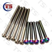 TS Titanium Alloy TORX Head Bolts Screw M5X65mm Allen Key Hex Screw for Bicycle Motorcycle Fastener(1pc)