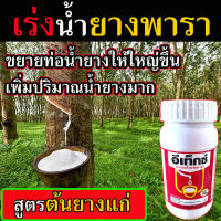 สารเร่งน้ำยางพารา ชนิดทา ( สูตร ต้นยางแก่ )  ขนาด 500 Cc. สารเร่งน้ำยาง ยาเร่งน้ำยาง สารทาหน้ายาง ยาทาหน้ายาง สารกระตุ้นน้ำยาง ฮอร์โมน สารบำรุงหน้ายางพารา เครื่องมือเปิดหน้ายาง มีดกรีดยางพารา มีดกรีดยางไฟฟ้า สารบำรุงหน้ายาง