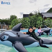 Phao bơi cá voi đen Intex 58561 - Phao bơi cho bé, Phao bơi trẻ em