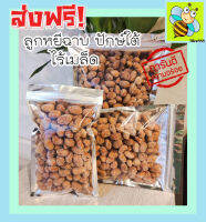 ส่งฟรี!! 500 กรัม (พร้อมทาน) ลูกหยีฉาบน้ำตาลไร้เมล็ด เกรด A เม็ดใหญ่ สูตรโบราณ รสชาติอร่อย (มีให้เลือก 500 และ 100 กรัม) หอม เปรี้ยว หวาน ลงตัว โดยธรรมชาติ ลูกหยีเคลือบน้ำตาลไร้เมล็ด ลูกหยีไม่มีเม็ด ลูกหยีสด ลูกหยีฉาบน้ำตาล ลูกหนีฉาบ ลูกหยีไร้เม็ด