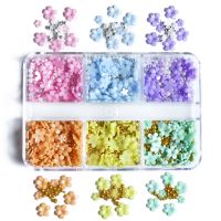 【ขายร้อน】 FIVE Petal Flower Nail Charms 3D ขนาดผสมเครื่องประดับเล็บ Pearl Golden Ball Nail Charms สำหรับเล็บอะคริลิค Art Supplies