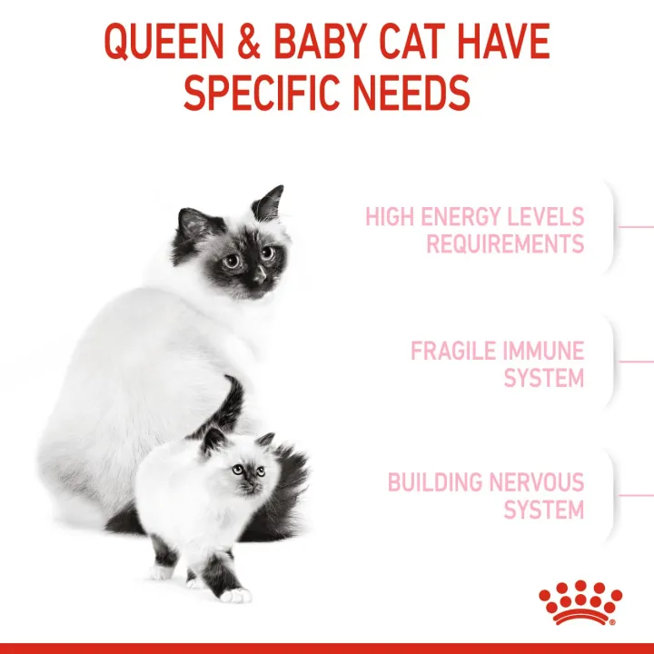 หมดอายุ4-24-royal-canin-babycat-4-kg-อาหารลูกแมวและแม่แมว-ขนาด-4กก