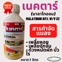 เนคตาร์ (มาลาไทออน) malathion 83% W/v EC ขนาด 1 ลิตร กำจัดด้วงหมัดผัก เพลี้ยไฟ เพลี้ยหอย