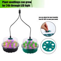 【hot】✓  Starter Trays With 13 Holes Per Tray Pots Lights Greenhouse Growing