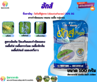 ไดโนทีฟูแรน20% ฮักส์ 100กรัม กลุ่ม4A สูตรเข้มข้น ป้องกันและกำจัดแมลง เพลี้ยไฟ เพลี้ยกระโดด เพลี้ยจักจั่น เพลี้ยไก่แจ้ แมลงหวี่ขาว