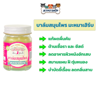 บาล์มสมุนไพร มะหมาเฮิร์บ ( MaMah Herbs ) ขนาด 50 กรัม ลดคัน ต้านเชื้อราและยีสต์ ลดปัญหาขี้เรื้อน