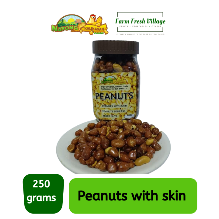 Nayong Kalikasan Roasted Peanuts with skin or Mani, 250 grams in ...