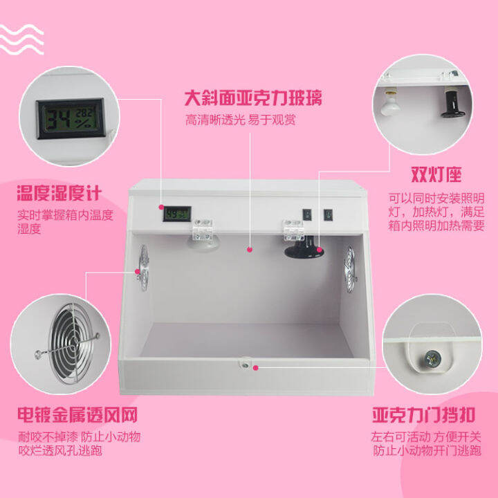 Large golden bear acrylic light breeding hedgehog luxury box heating