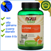 วิตามินและอาหารเสริม Pets, L-Lysine for Cats, 8 oz (226.8 g),Now Pet,Now Food