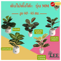 ต้นไม้ตั้งโต๊ะพร้อมกระถาง รุ่น MM สูง 35-40 ซม.  ต้นไม้ปลอมตกแต่งบ้าน Leeartplants ( ไทรใบสัก มงคลเศรษฐี ยางอินเดีย ยางด่าง ยางอินเดียด่าง )