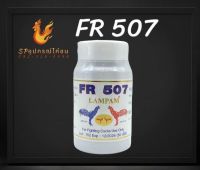 FR 507 (LAMPAM)