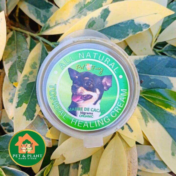Herbal Cream Ointment (50gram) Topical Healing Cream anti mange