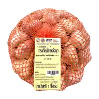 สินค้าล็อตใหม่! กระเทียมไทย ตัดจุก 1 กิโลกรัม Thai Garlic Bulb 1 kg สินค้าใหม่ สด โปรโมชั่นสุดคุ้ม มีเก็บเงินปลายทาง