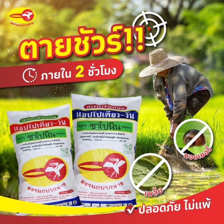 ส่งฟรี-กากชา-กำจัดหอย-ซาโปนิน-10กก