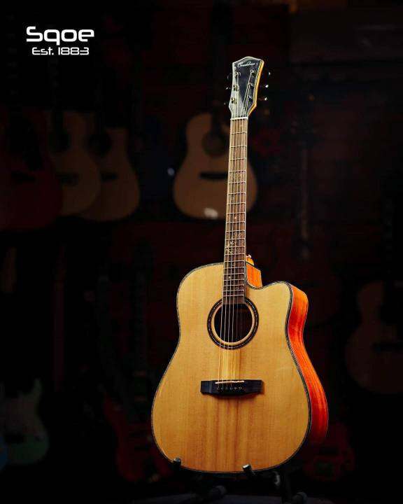 Cranberries ED52C Acoustic Guitar with Fishman Pickup Tuner Lazada PH