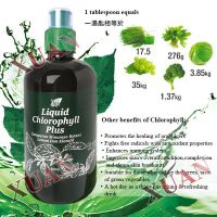 Liquid Chlorophyll Plus คลอโรฟิลล์ พลัส ชนิดน้ำ 500 มล. (คลอโรฟิลล์คอสเวย์) ล้างสารพิษ ต้านอนุมูลอิสระ