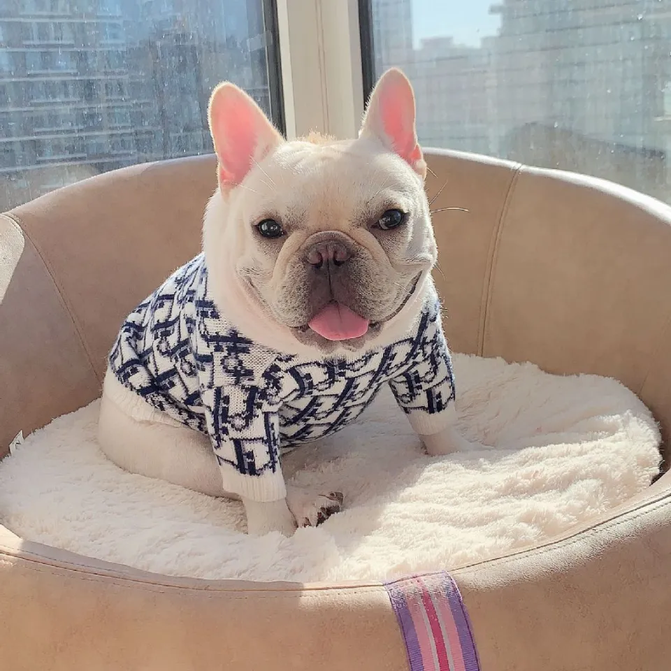 Dog dior clothes Clearance