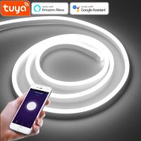 Tuya Smart Life Neon Light Smart WIFI LED Cabinet Kitchen Lamp DC12V for Wardrobe Backlight DIY Home Decoration work with Alexa Ceiling Lights