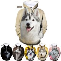 New Fashion Siberian Husky Dogs Print Men Women Casual Hoodies Funny and Cute Siberian Husky Dog 3D Printed Hoodie