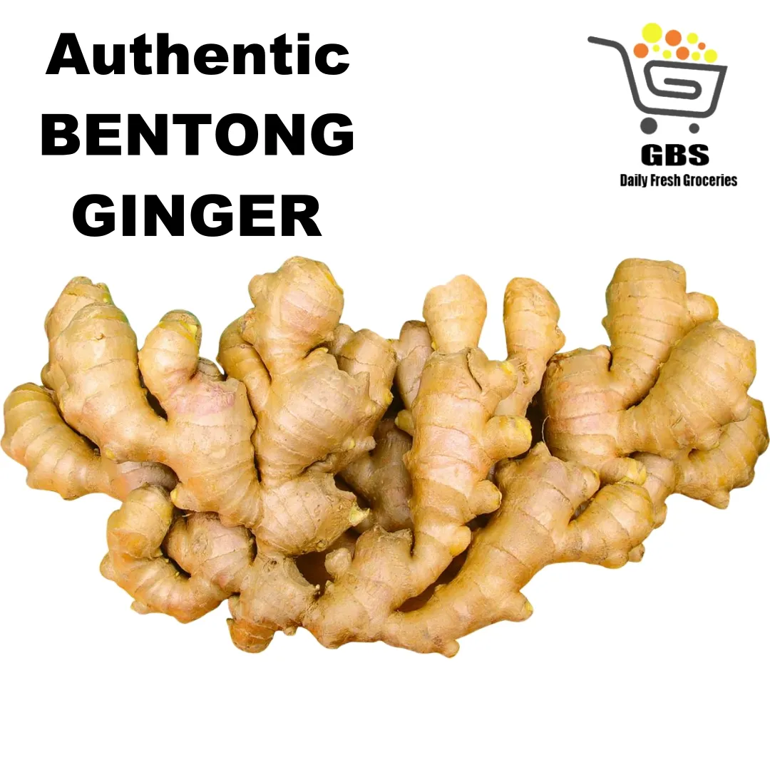 Bukit Tinggi Bentong Ginger a 自耕武吉丁宜鲜aaa文冬姜 Lazada