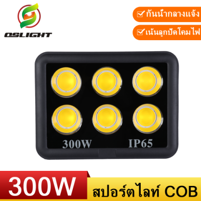 ZHLED สปอร์ตไลท์ LED 300W COB Spotlight ขาว วอร์ม Flood Light โคมไฟแอลอีดีสปอตไลท์ Spot Light (รุ่นCOB 2023 แบบกลม)