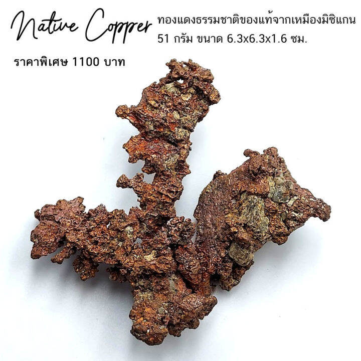 native-copper-ทองแดงธรรมชาติของแท้-จากเหมืองมิซิแกน-รูปร่างสวยเป็นช่อ