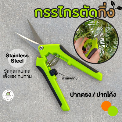 ✂️🍃กรรไกรตัดกิ่ง กรรไกรทริม ตัดแต่งใบกิ่งไม้ ปากตรง ปากโค้ง สแตนเลส ป้องกันสนิม ด้ามจับยาง✂️🍃