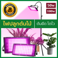 ไฟปลูกต้นไม้ ไฟปลูกบอนสี ไฟปลูกพืชในร่ม LED Grow Light 50W/100W