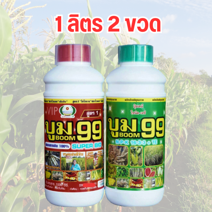 ปุ๋ย-บูม-99-ส่งฟรี-ปุ๋ยเร่งฝัก-สำหรับข้าวโพด-ฝักงาม-ฝักใหญ่-เม็ดสวย-ปุ๋ยน้ำ-บูม99-ลดการระบาดของเพลี้ยหนอนแมลง