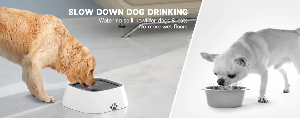 ELS PET Dog Bowl No Spill Pet Water Bowl No Drip Slow Water Feeder Cat Pet  Water Dispenser 35oz/1L Travel