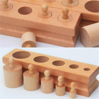 Wooden Toys Puzzle Montessori Educational Cylinder Socket Toy Childern Development Practice Senses Puzzle Math in Teaser Kids