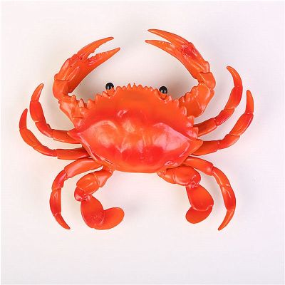 The simulation toys lobster crab pig Marine animal model childrens early education cognitive toys talking toys pinching joy