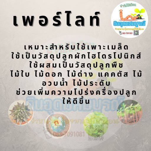 เพอร์ไลท์-แบ่งขาย-1-ลิตร-ใช้สะดวก-เกรดพรีเมี่ยมนำเข้า-amity-green-แท้-100-พร้อมส่ง