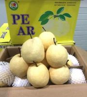 สาลี่น้ำผึ้ง Sweet Pear (7ลูก) (CHN) นำเข้า ~ลดพิเศษ~ หอม หวาน อร่อย !