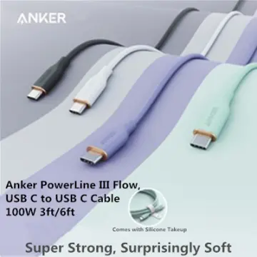 Anker Powerline III USB C to USB C Charger Cable 100W 6ft 2.0, Type C  Charging Cable for iPad Mini 6, iPad Pro 2020, Air 4, MacBook Pro 2020,  Galaxy