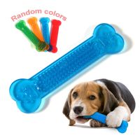 Hot Sale Pet Dog Chew Toys Rubber Bone Toy Aggressive Chewers Dog Toothbrush Doggy Puppy Dental Care For Dog Pet Accessories Toys