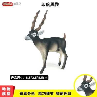 🎁 ของขวัญ Childrens educational solid static simulation animal model toys India black antelope decorative furnishing articles hands do