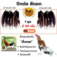 ปีกต่อไก่ชน ปีกไก่ชน 1ชุดมี 40เส้น (ขาว) (สา) (ดู่) (กรด) (หม่น) (ดอก) คัดพิเศษ แข็งแรง ไม่เปาะ